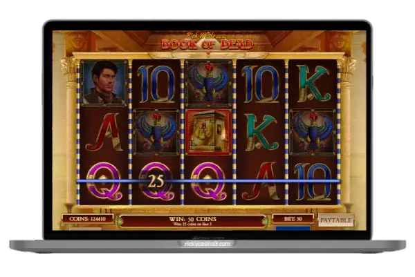 Book of Dead let's play on rickycasino3
