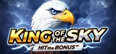 king of the skyhitthe bonus Ricky Casino  Slot